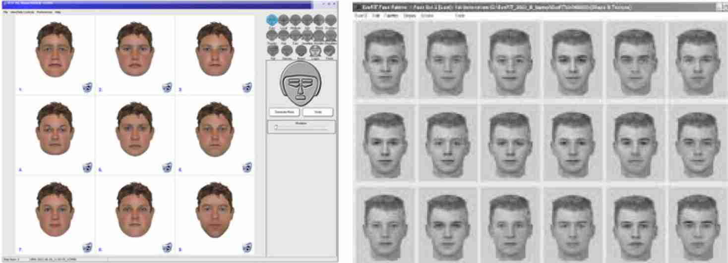 Formal evaluation of evolutionary facial composite systems